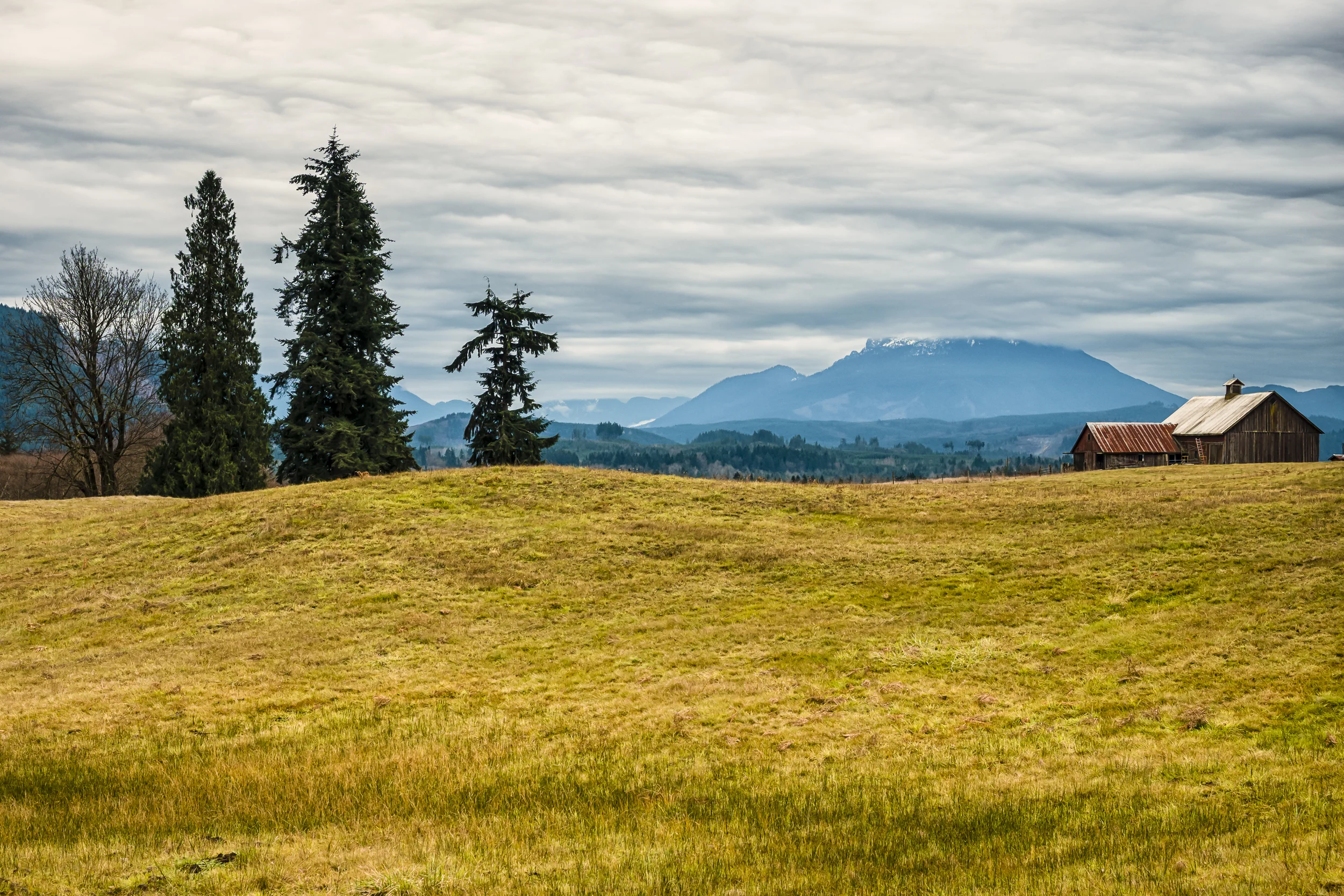 Pasture and Barn-wp.jpg