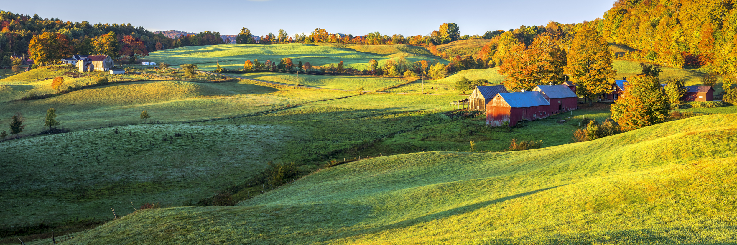 Morning Sunlight on the Farm-wp.jpg