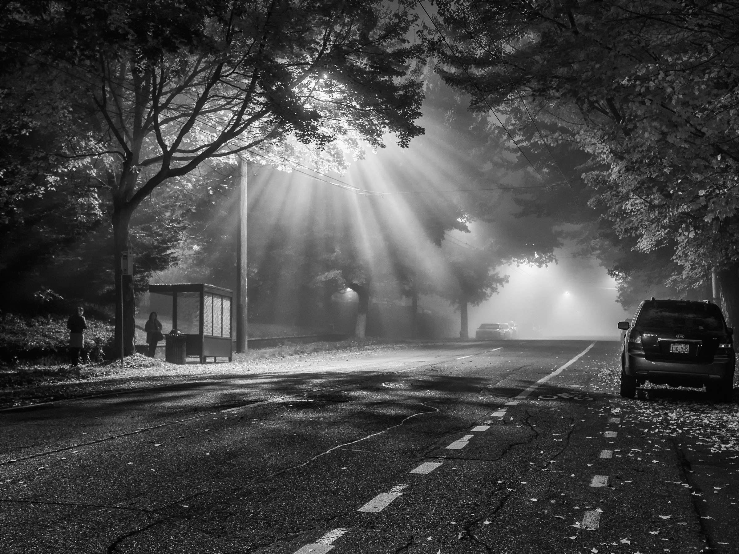 Close Encounters II-wp.jpg