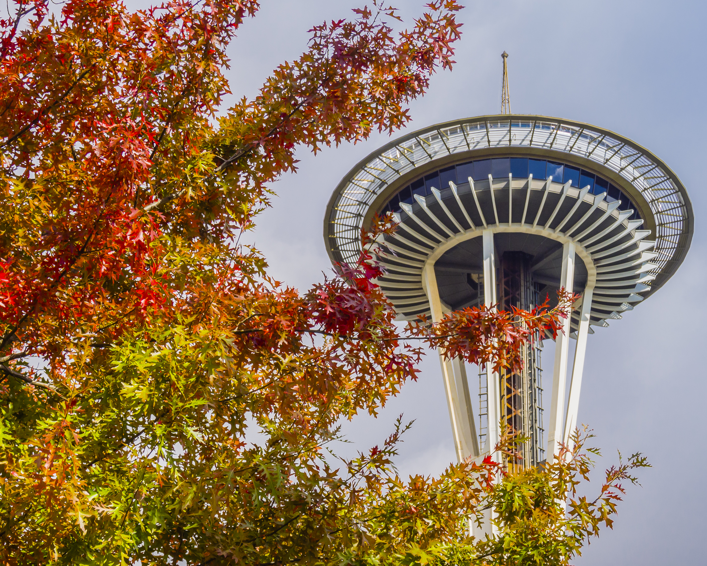 Autumn in Seattle