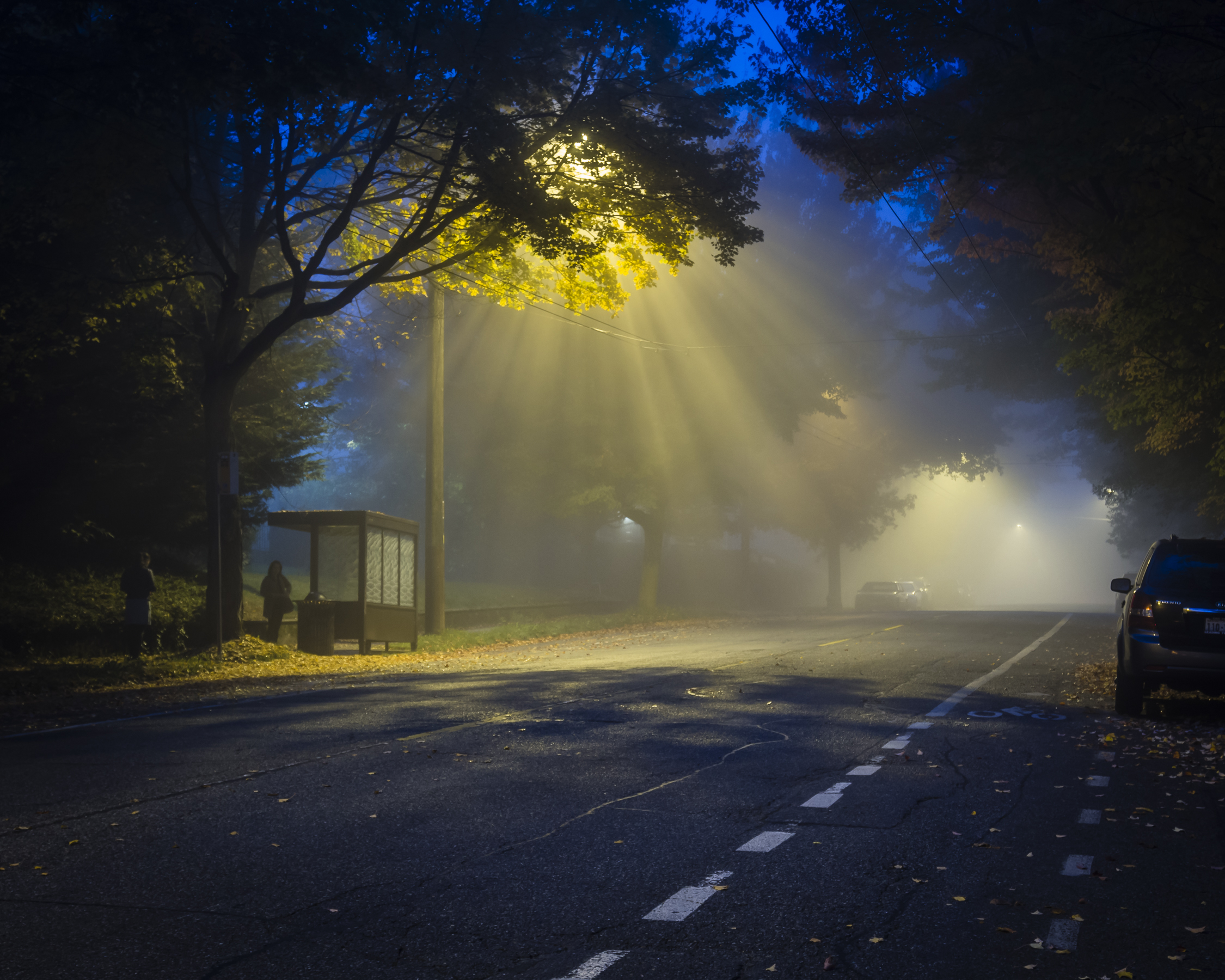 Close Encounters