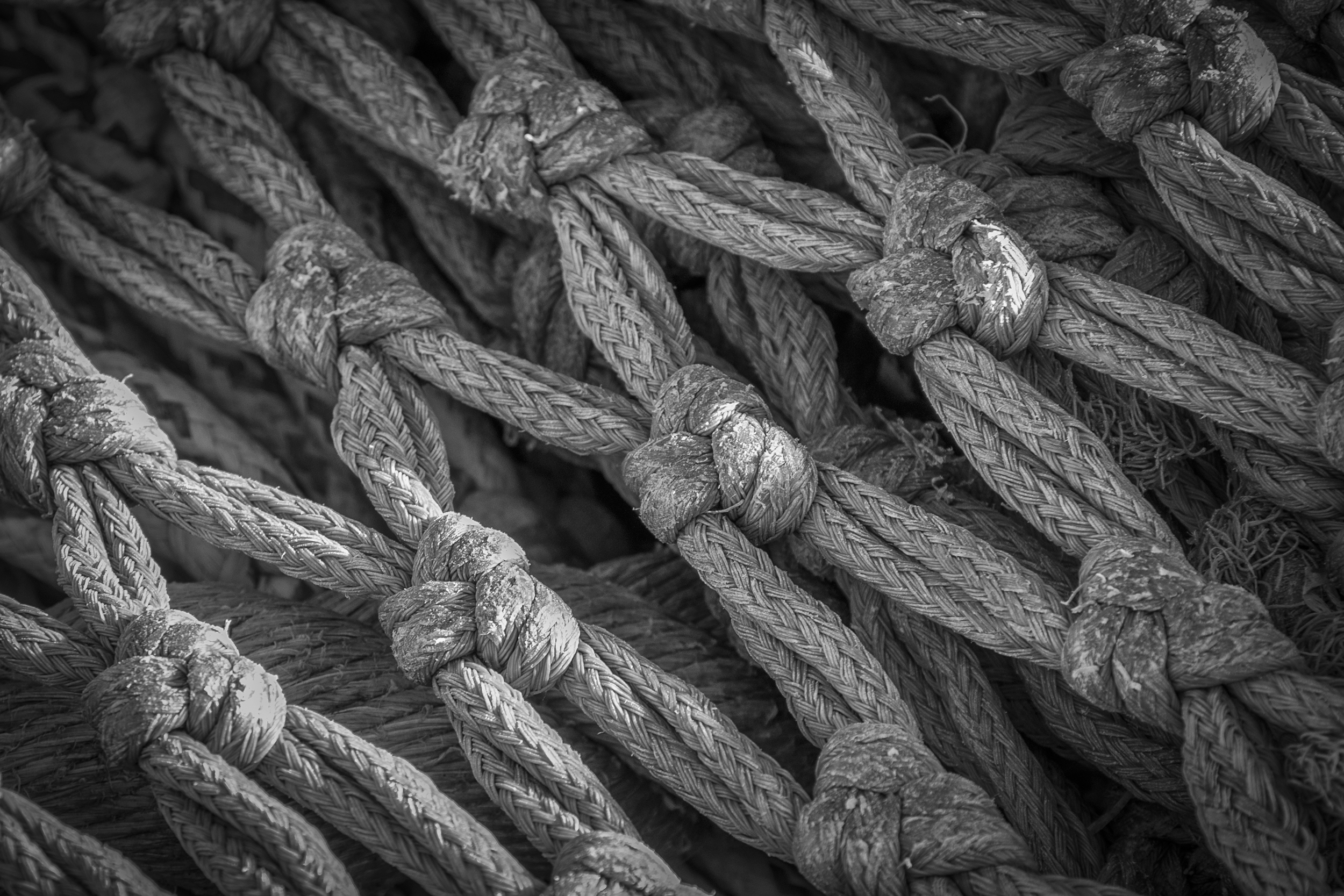 Fishing Net-wp.jpg