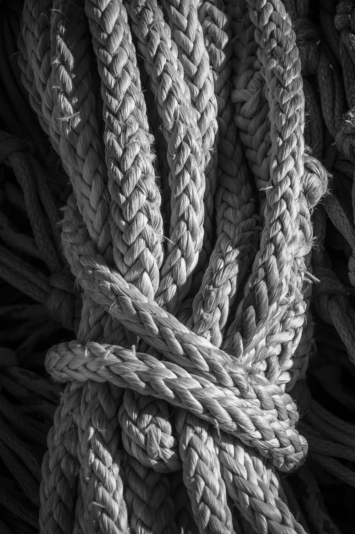 Rope-wp.jpg