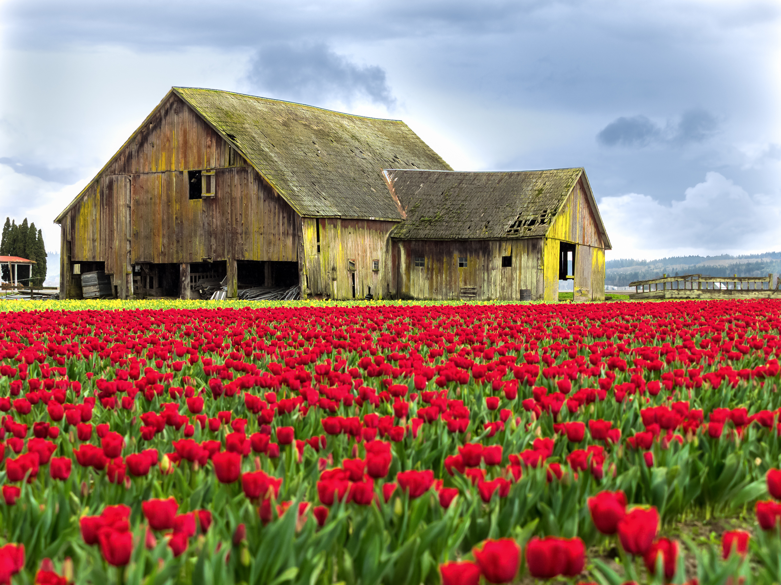 Skagit Valley Barn
