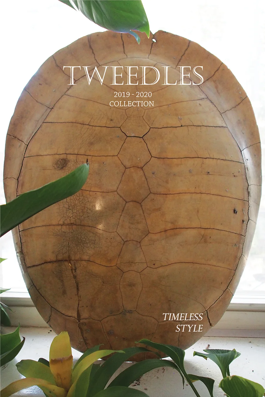 Cover.jpg