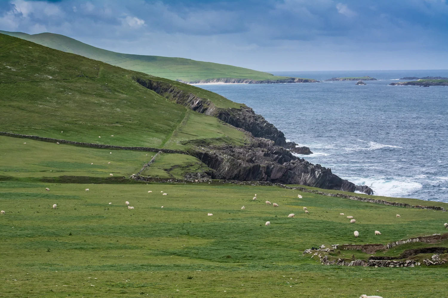 DSC_1662.jpg