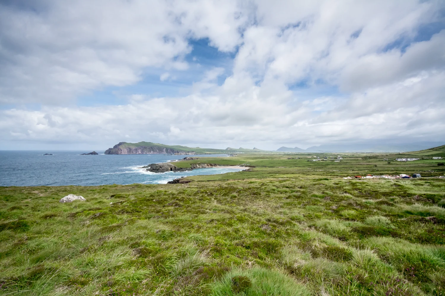 DSC_1676.jpg