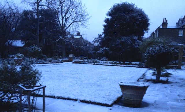 Winter in Fulham