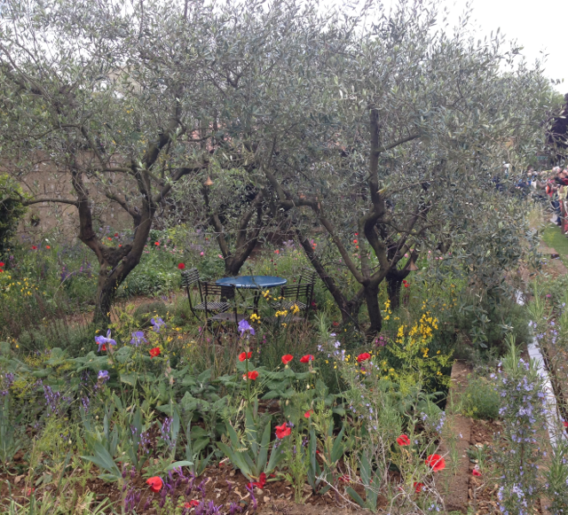 Gold medal winner - A Perfumer's Garden in Grasse