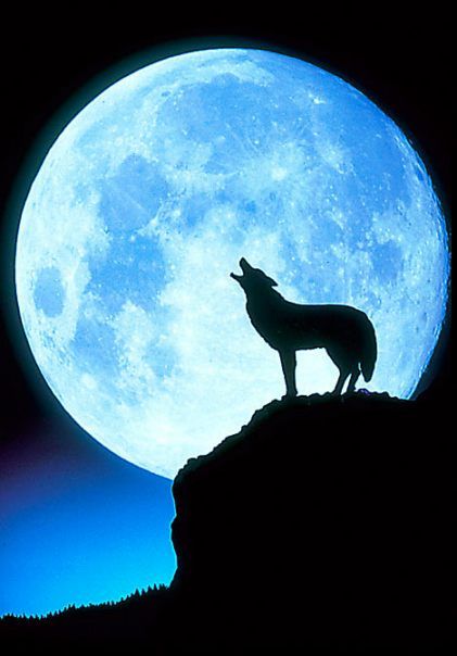 Photo Courtesy: Pinterest