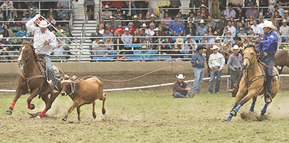 Photo: Kirt Steinke: Cody Snow and Dugan Kelly split the second round at Pendleton this year and that win of $4,064 helped ensure the team a trip to the 2016 WNFR. This will be Cody’s first trip. 