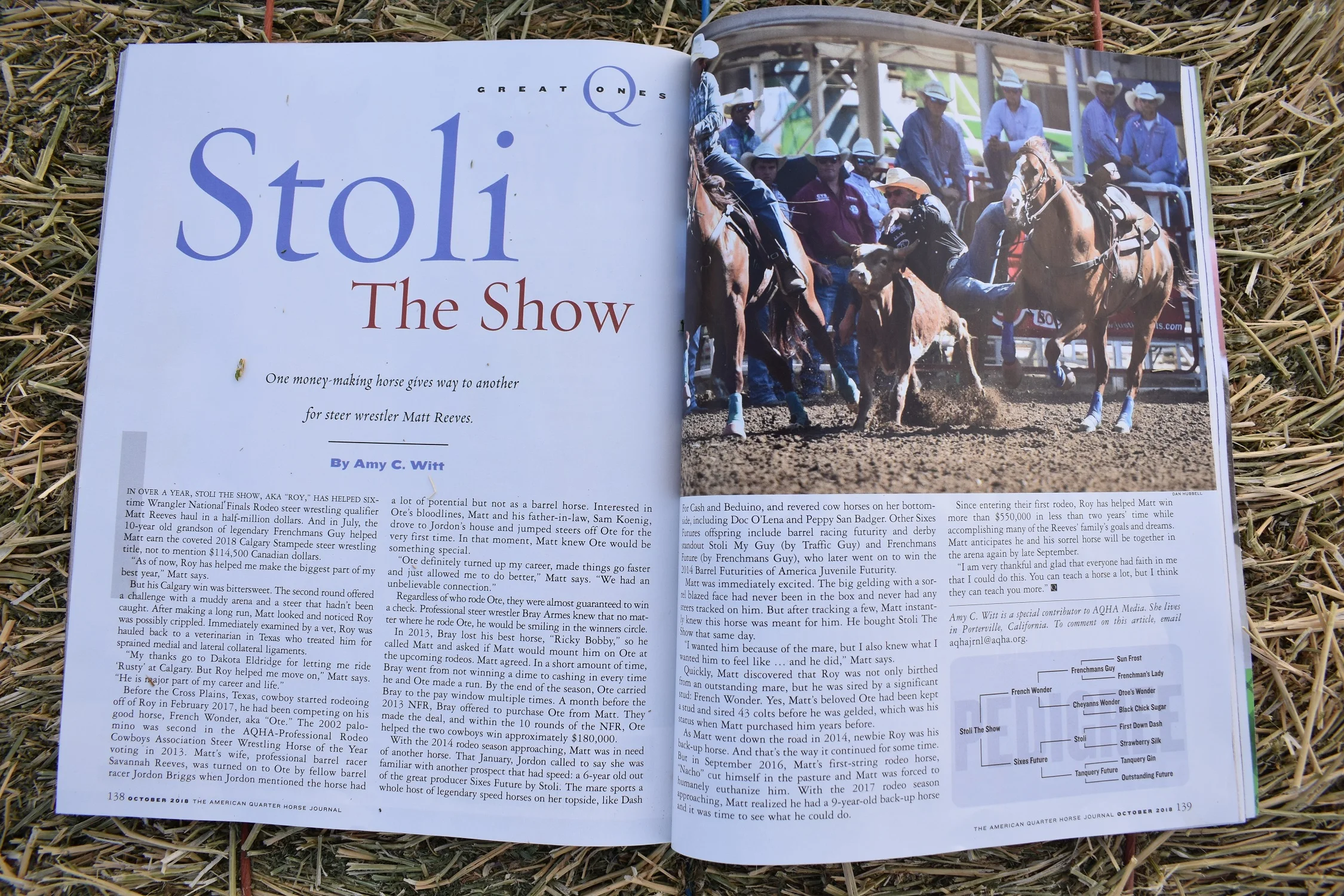 Stoli the Show.jpg