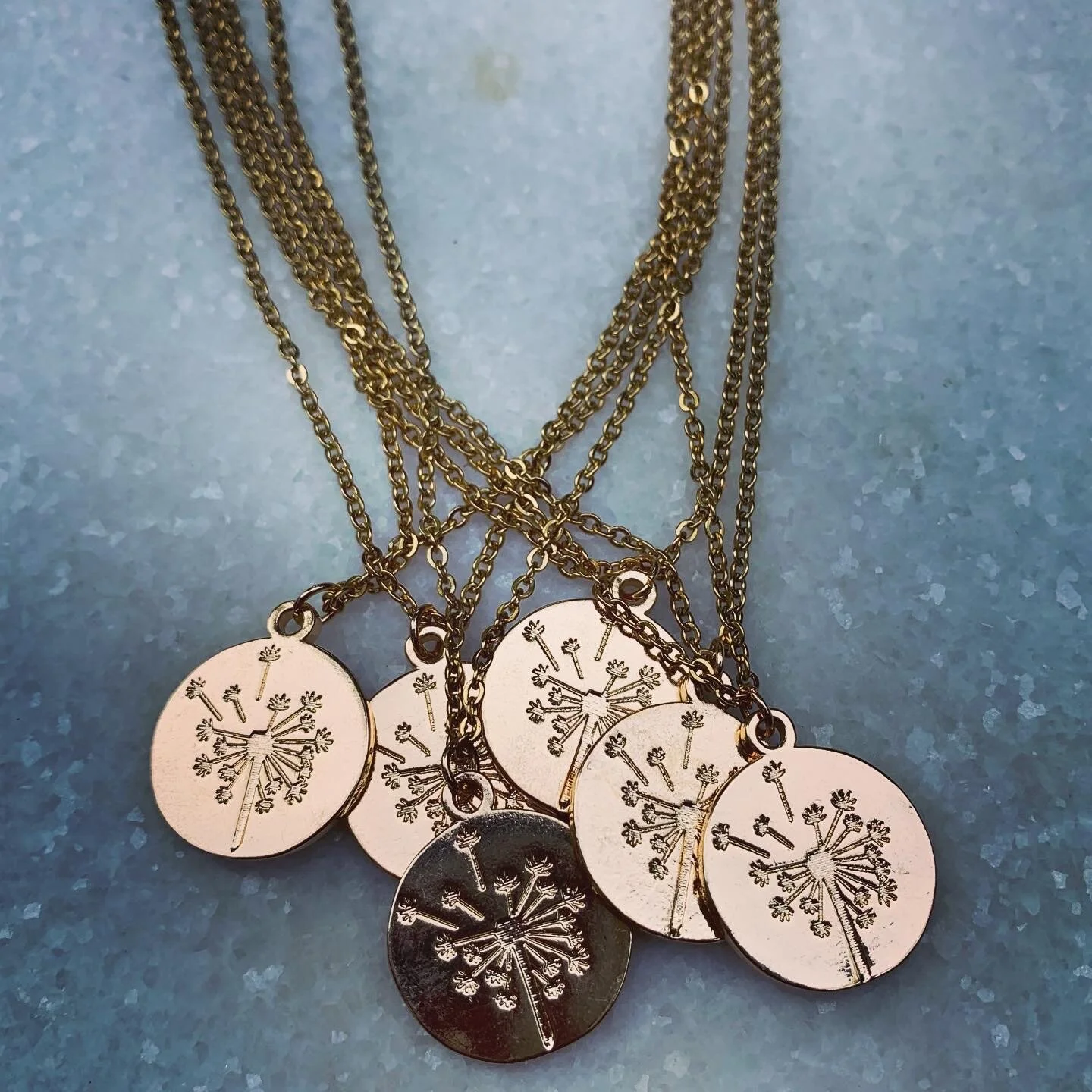 C1B1F9D4-F969-406E-89D2-7DDB017AFE4B