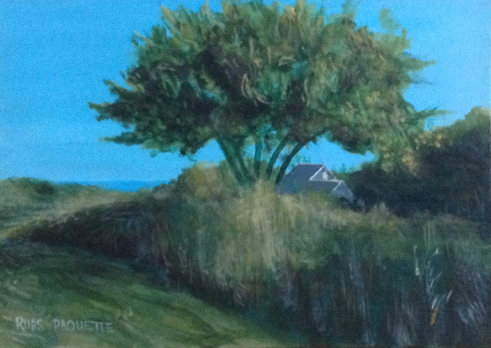 "Stroll on the Sibley" - 8x6 - acrylic on canvas - private collection