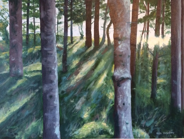 "First Light" - 24x18 - acrylic on canvas - gallery edges - available