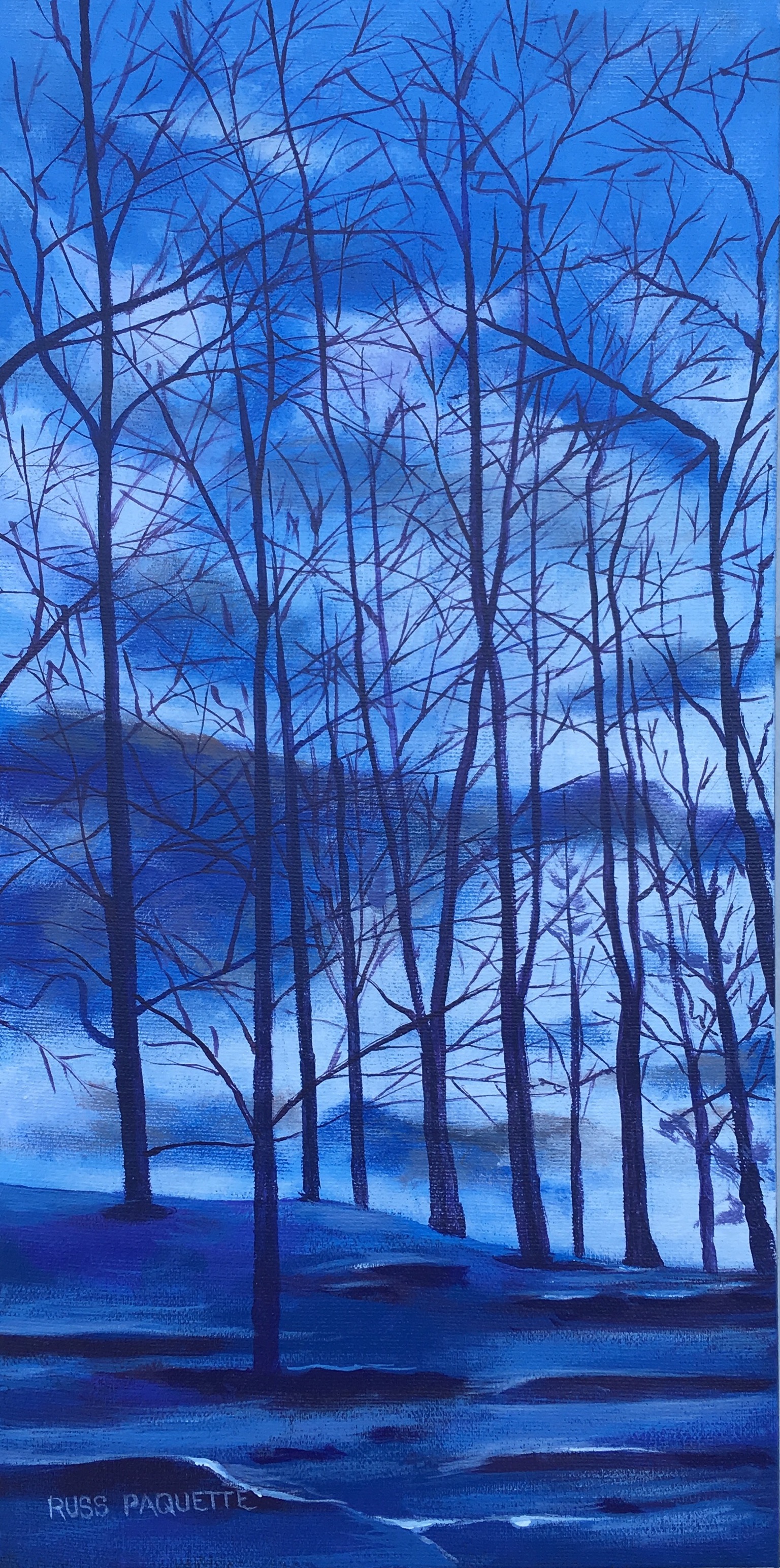 "January's Freeze" - 8x16 - acrylic on canvas - private collection