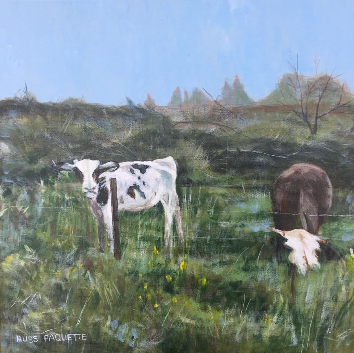 "The Meadow" - 12x12 - acrylic on canvas - available