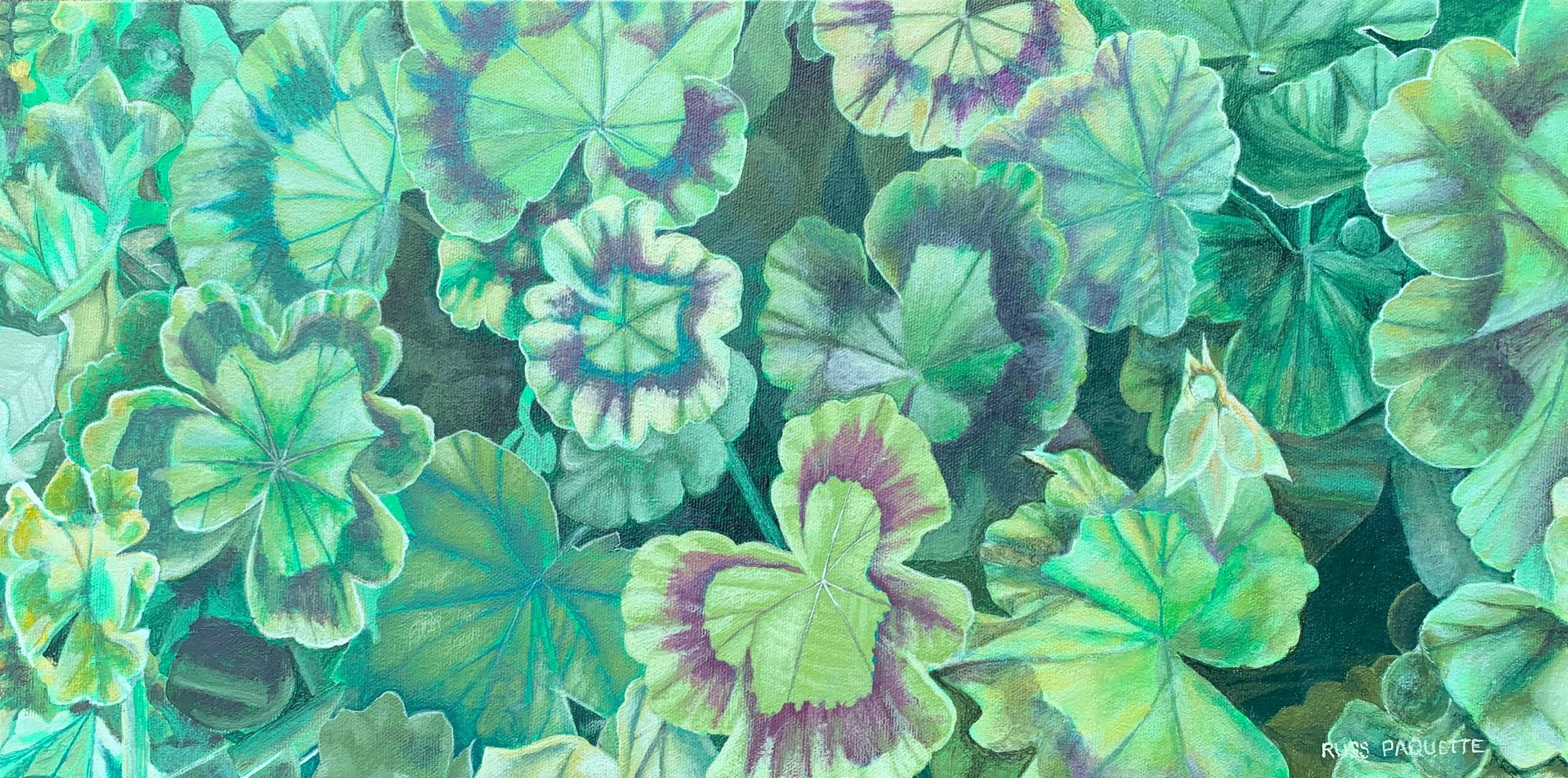 “Geraniums” - 20”x10” - acrylic on canvas - available