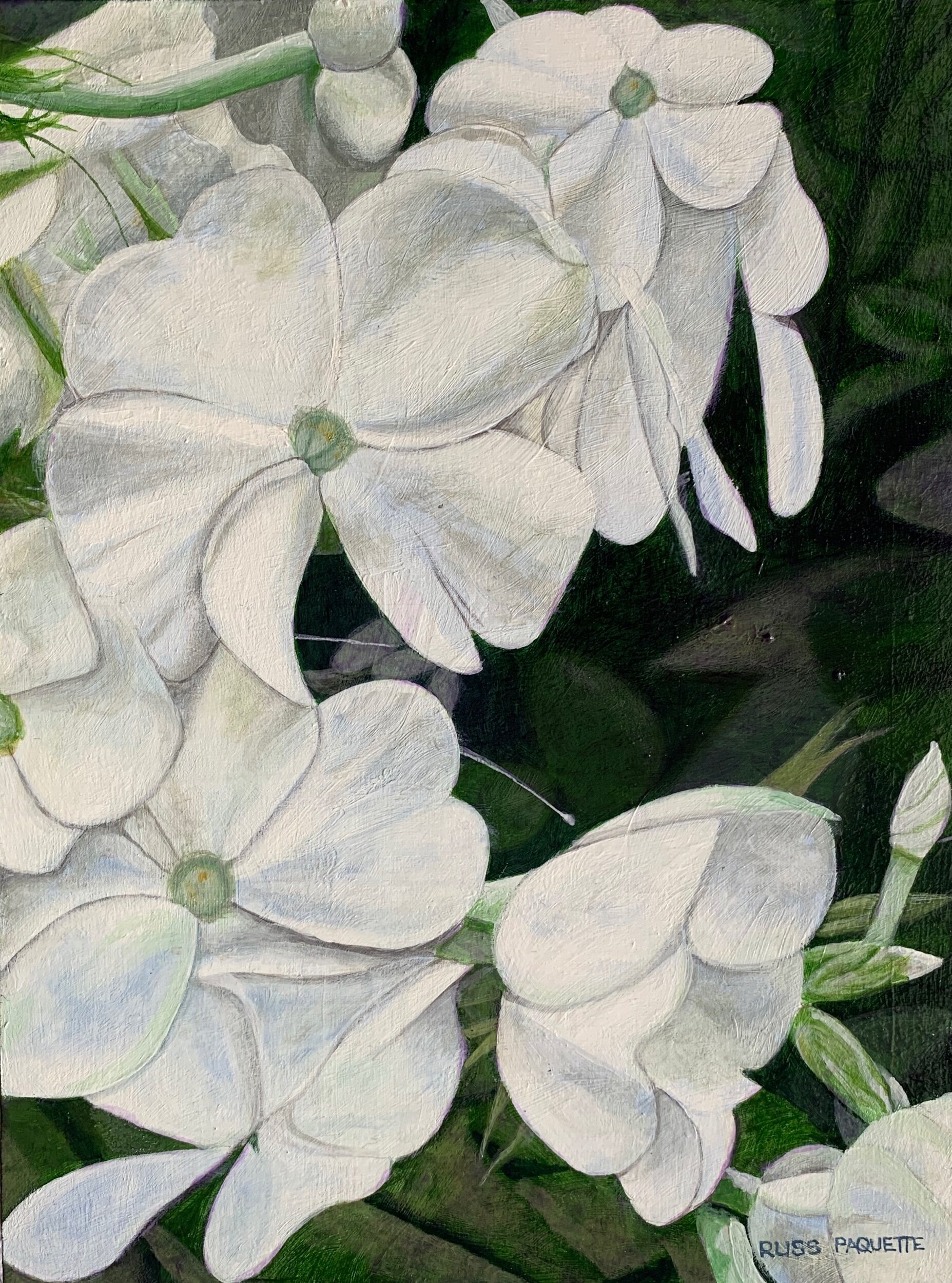 “Beechwood’s Flowering Tree” - 9”x12” - acrylic on board - available