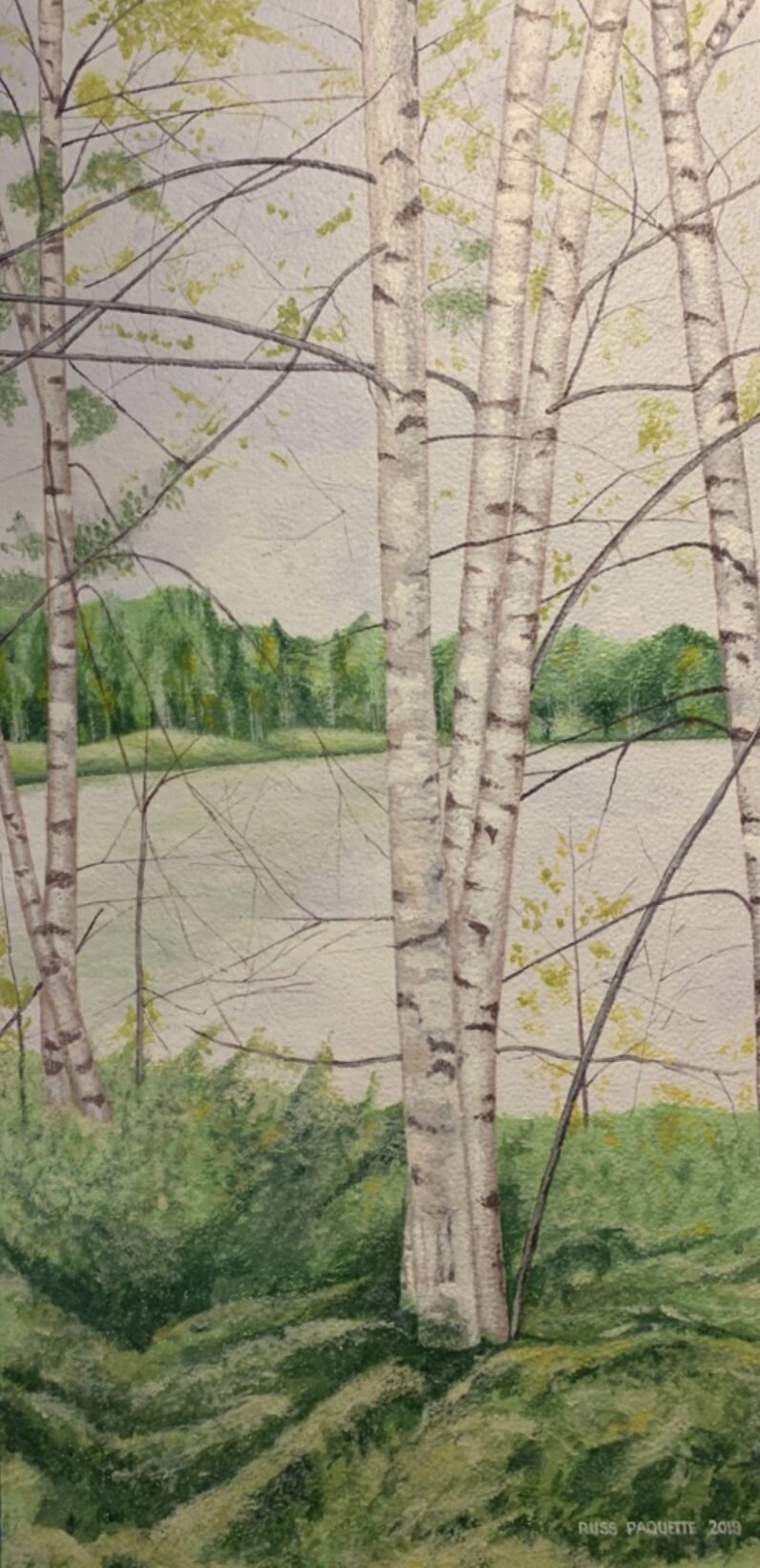 “Healing Birches” - acrylic on ceiling tile - Ottawa Heart Institute