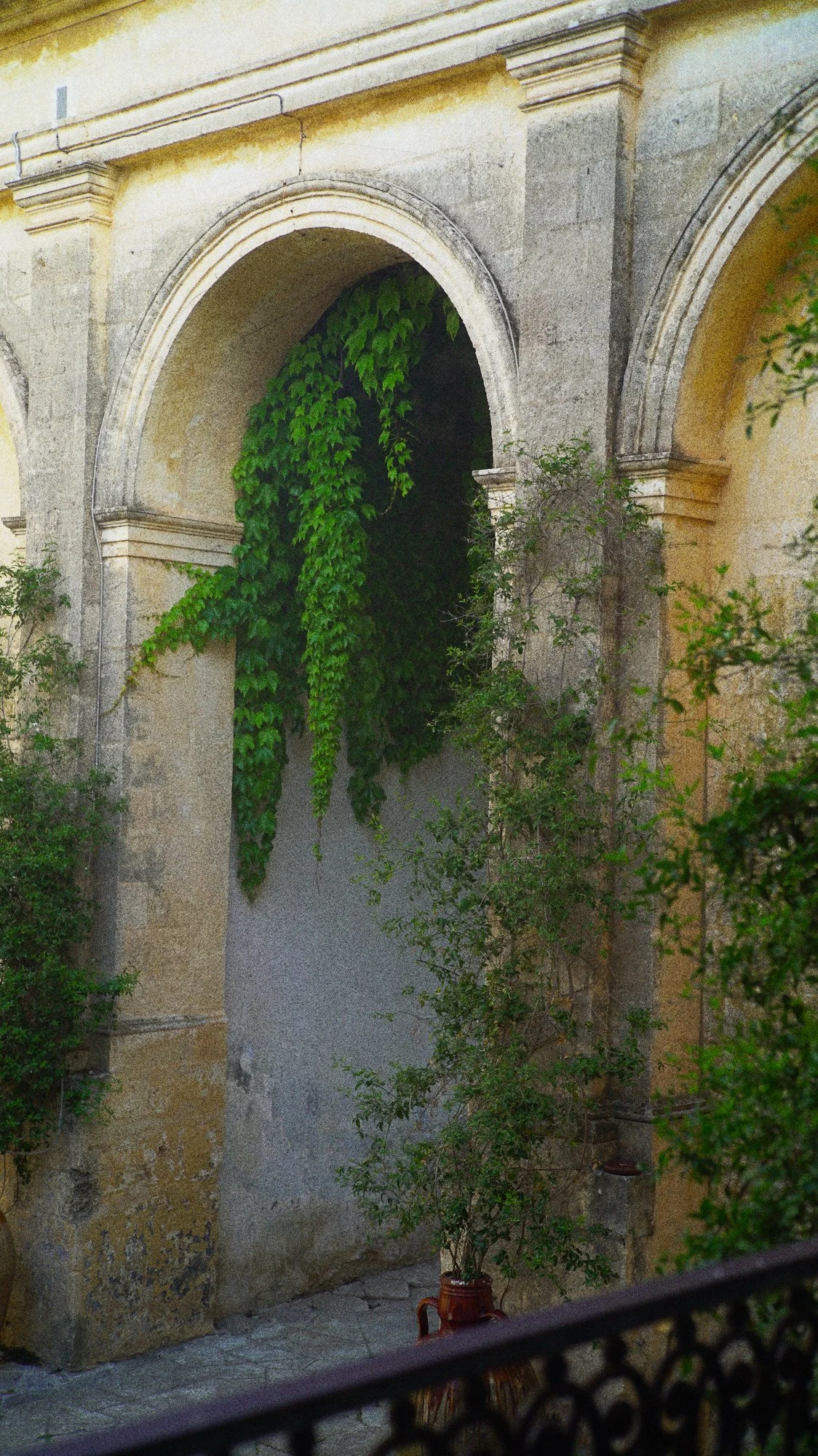 NEC01803.jpg