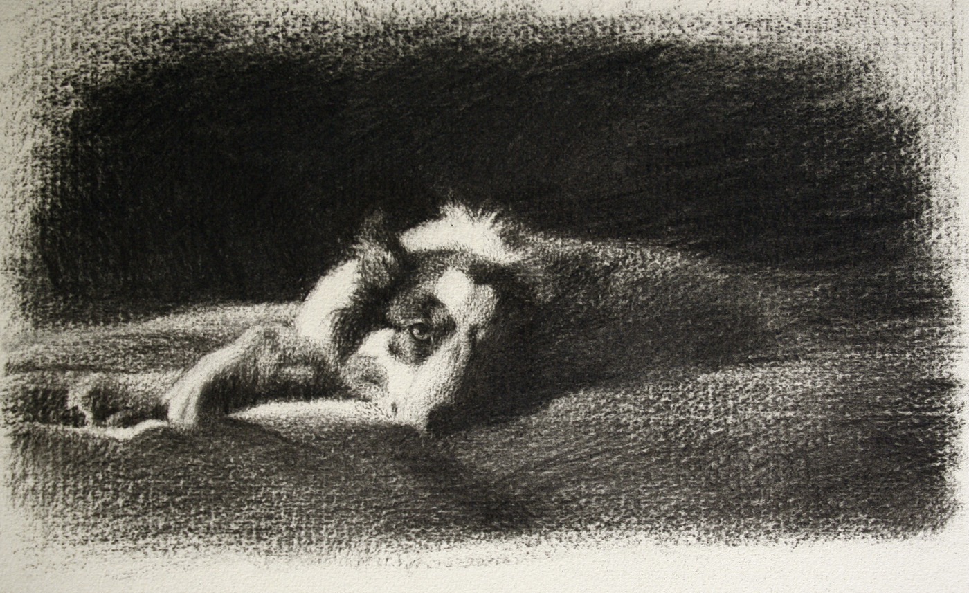 lucy-charcoal-1.jpg