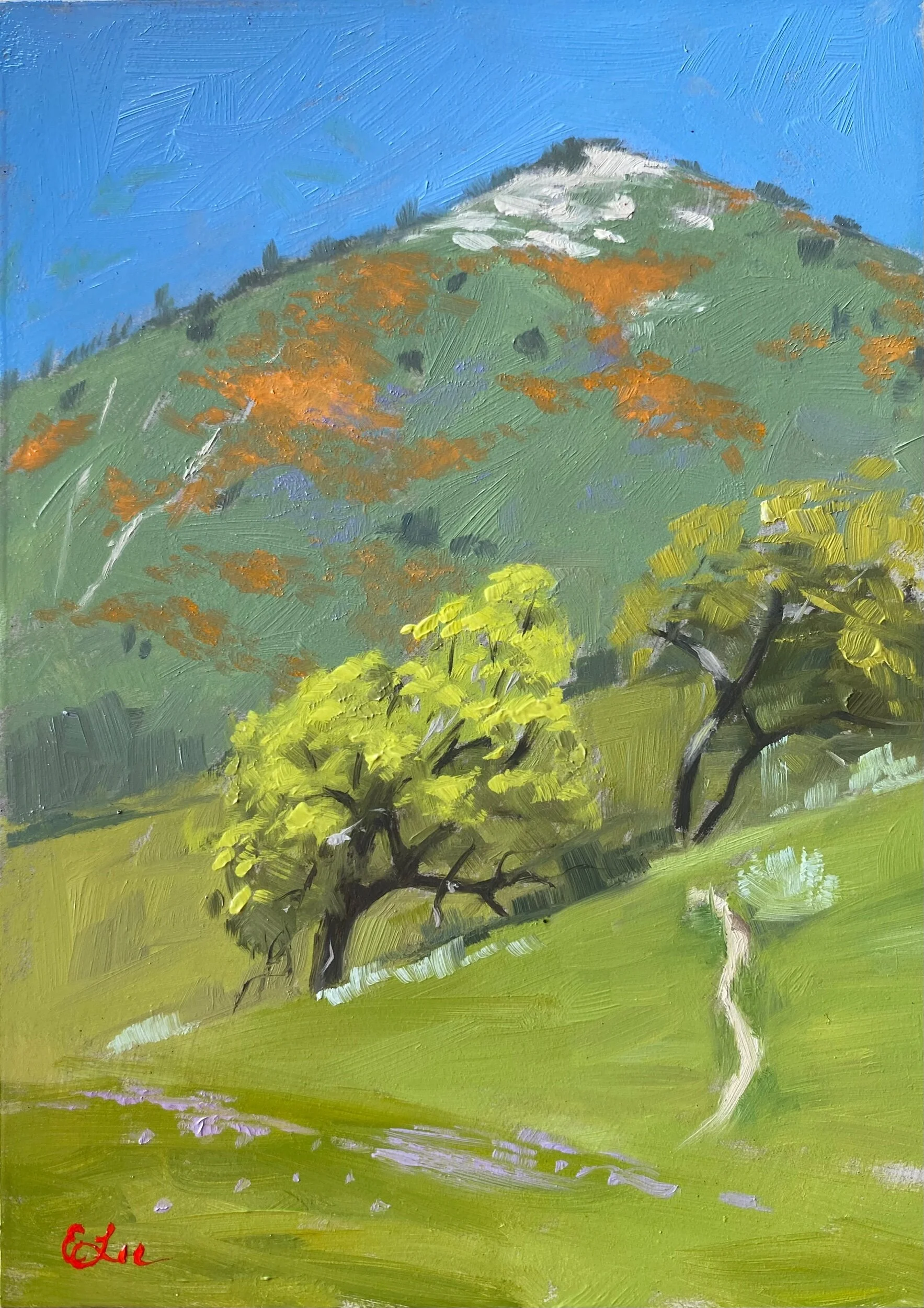 403428EB-0899-4DB6-8D49-1D441591897B