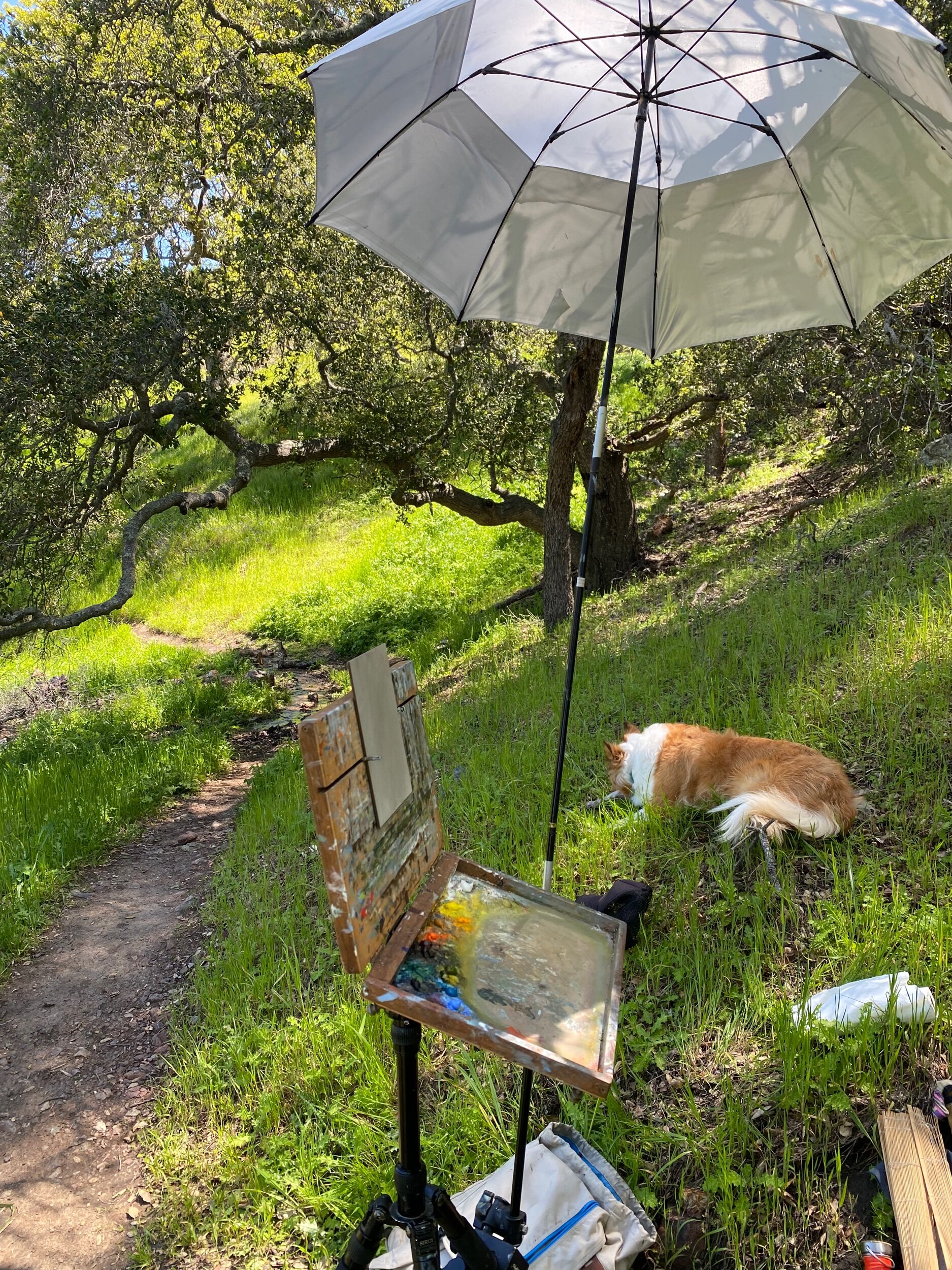 5FE62D0C-FA12-4F58-8363-B2E72397AD8F