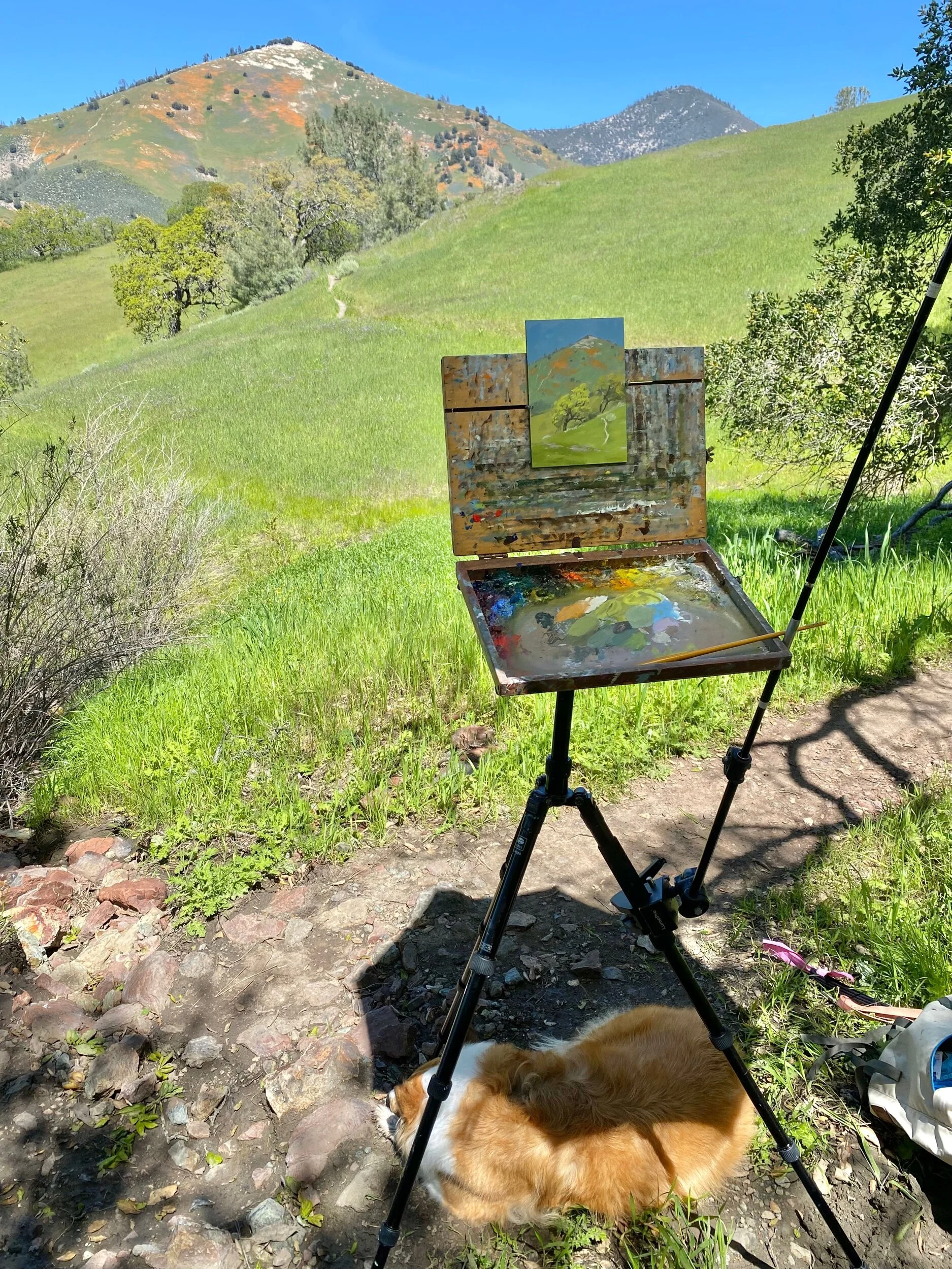 8BC8D23C-917D-4E55-A1F1-5668B11F2549