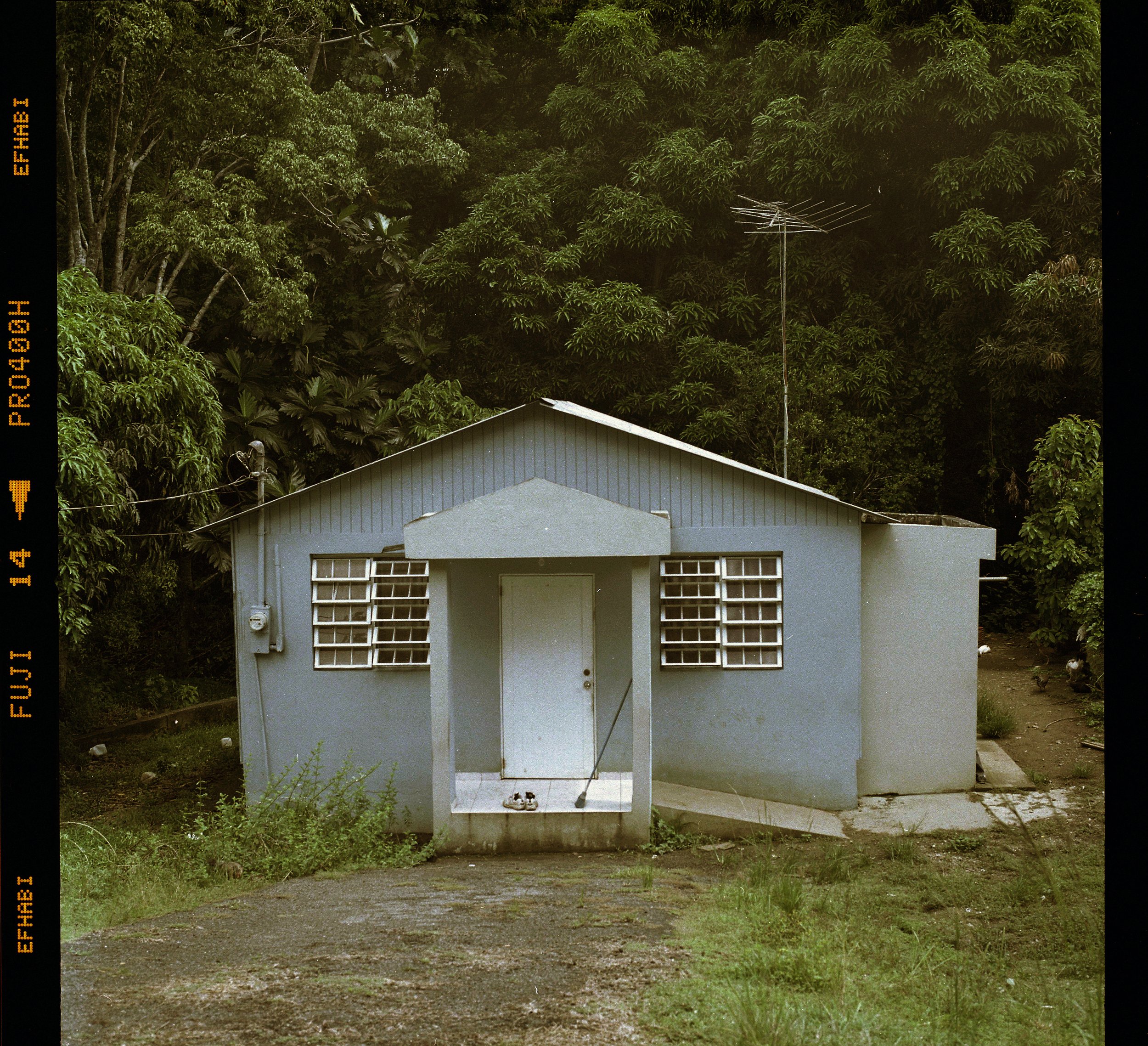 hasselblad 500cm.jpg