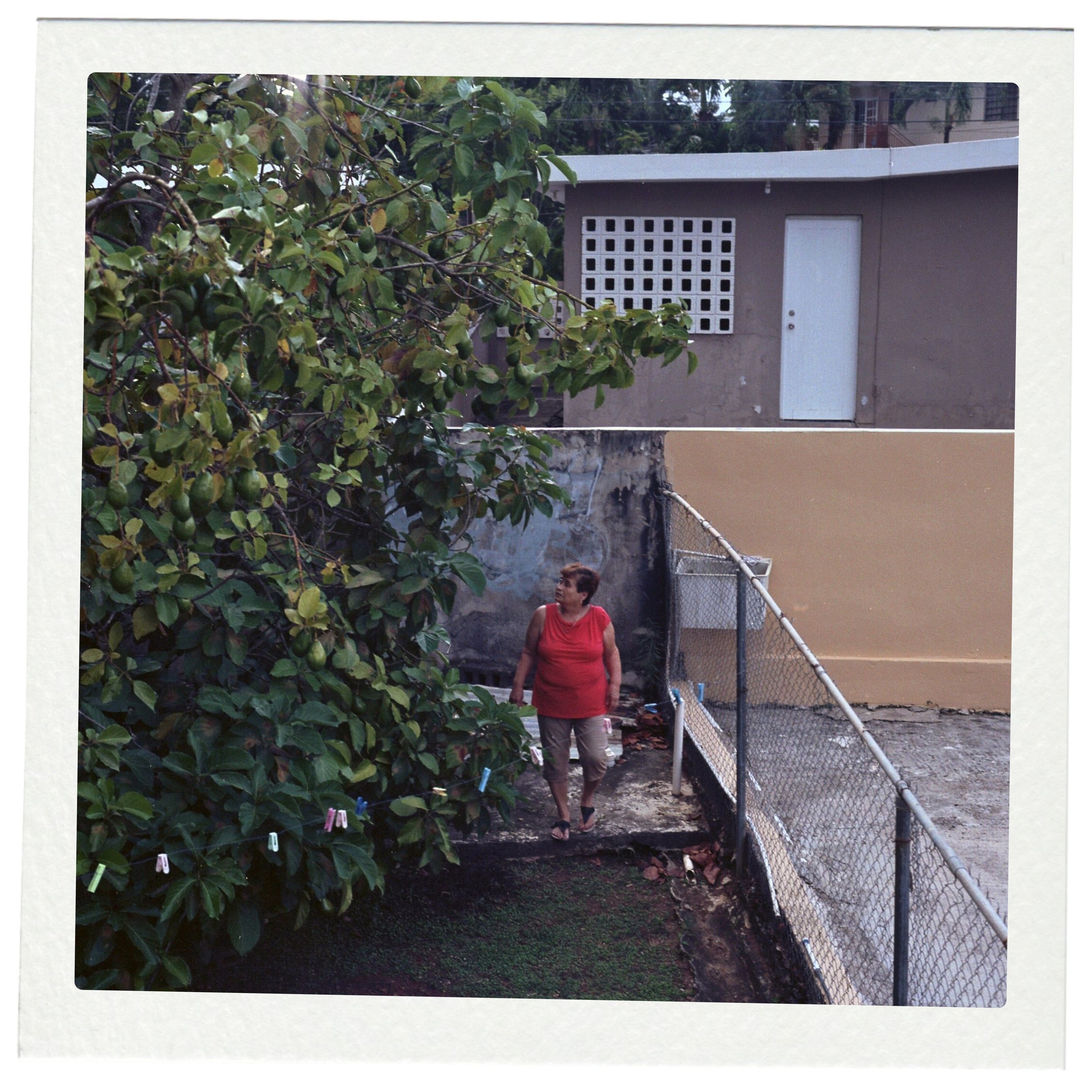 Abuelita Sara 01.jpg