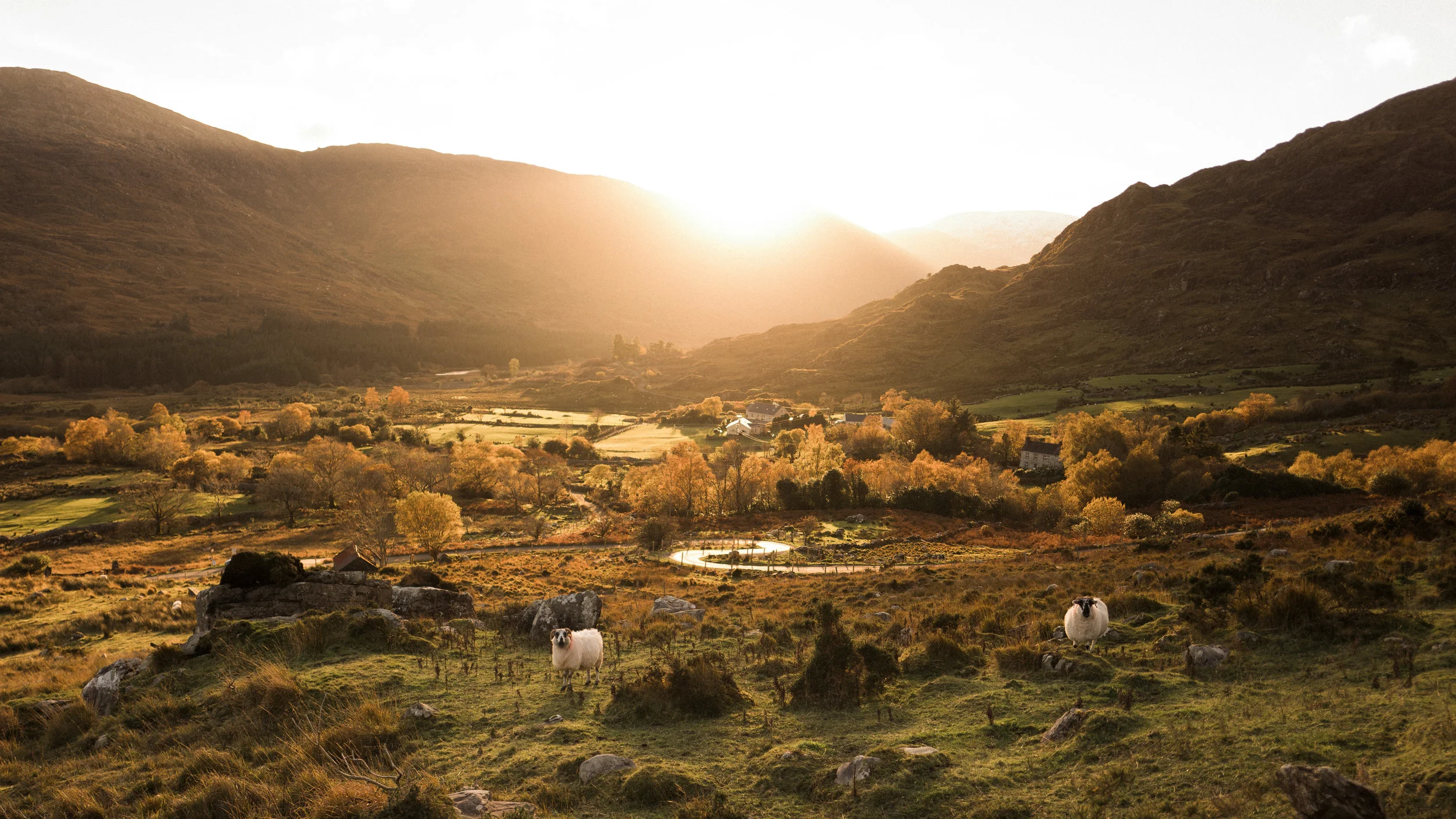 20 Nov, 2016 / Gap of Dunloe. County Kerry
