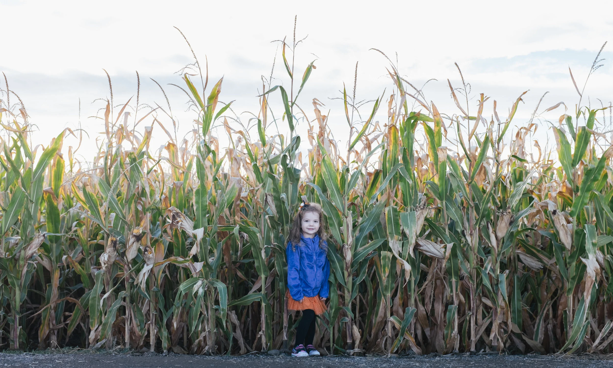 11 Oct, 2014 / Penny. Broomfield, CO