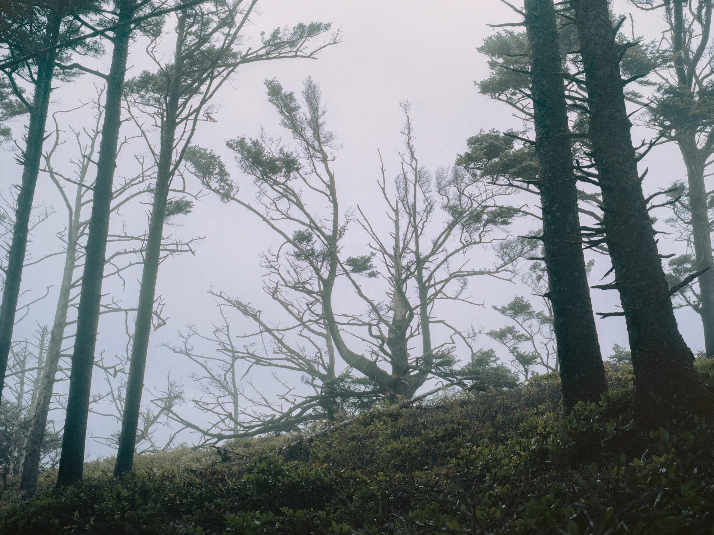 13 Aug, 2014 / Hug Point, OR