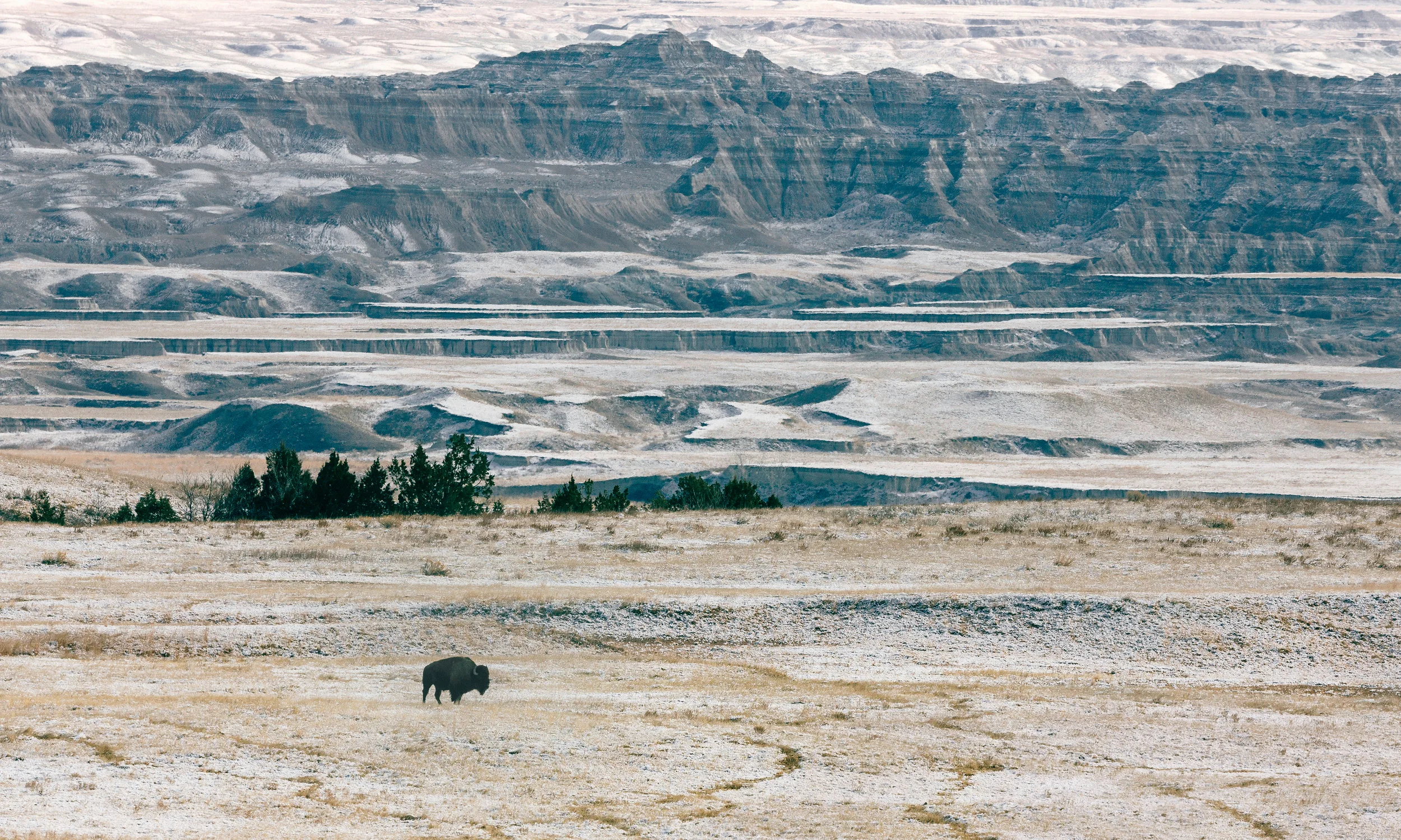 27 Nov, 2012 / Badlands National Park, SD