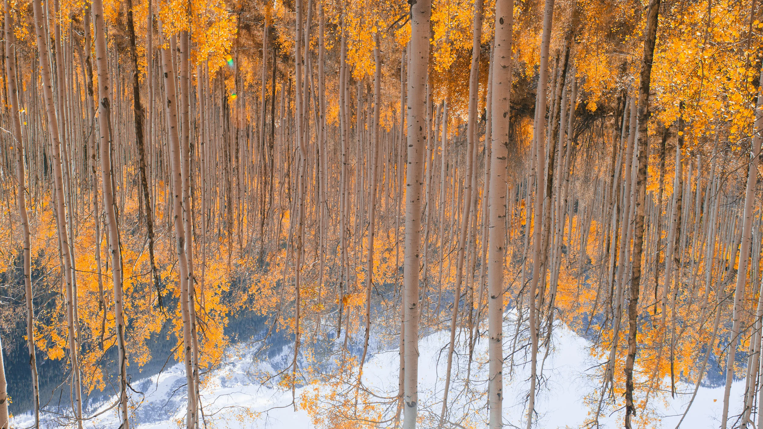 16 Oct, 2011 / Aspen, CO