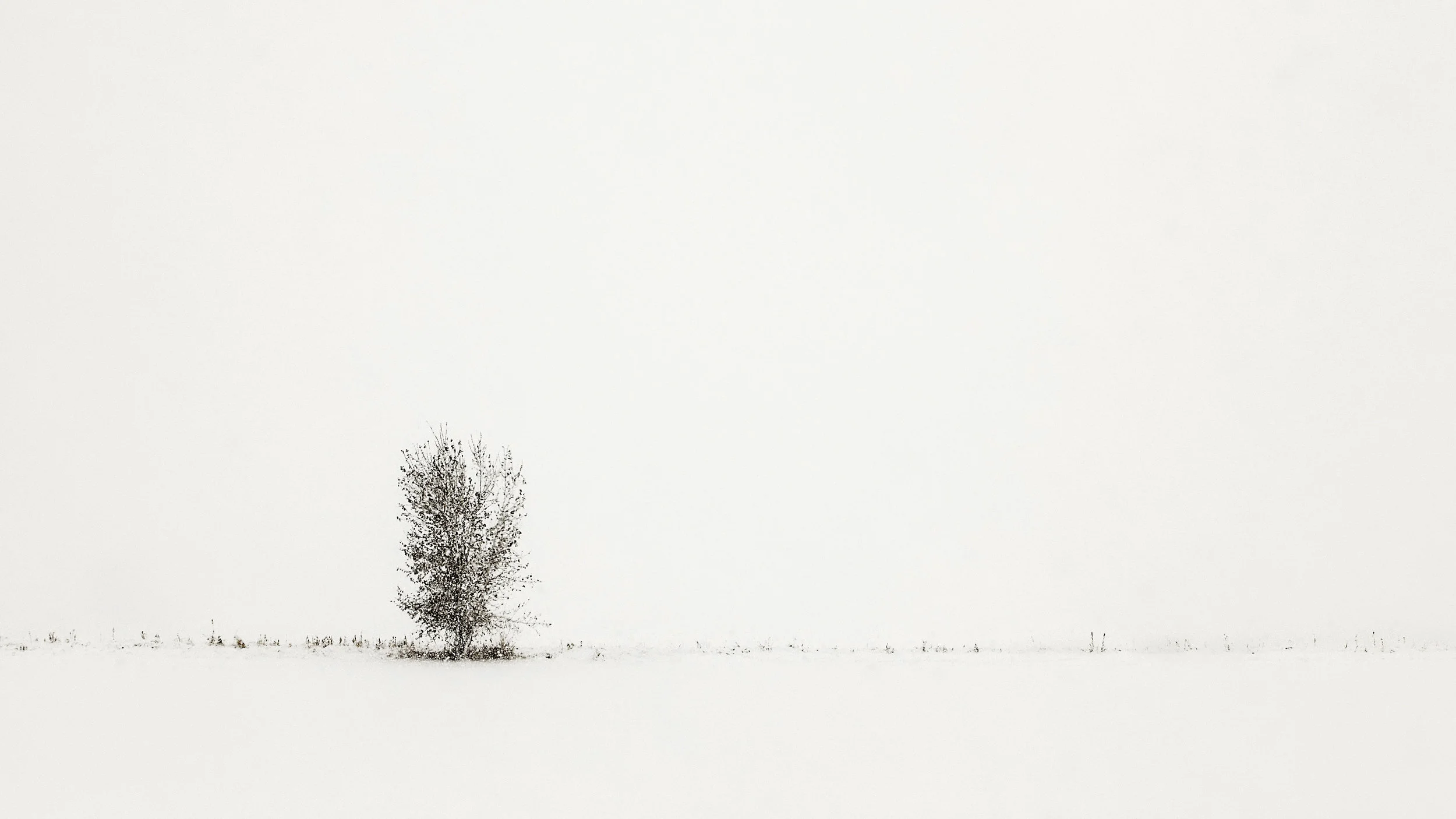 28 Oct, 2009 / Longmont, CO
