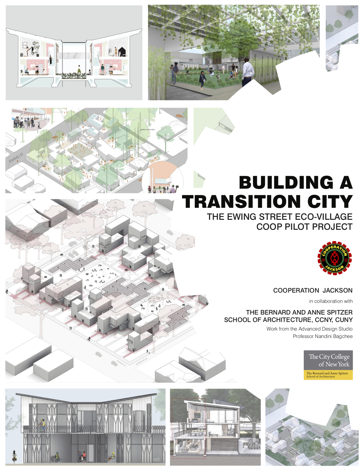 New Educational Publication - "Building a Transition City: The Ewing Street Eco-Village Coop Pilot Project"