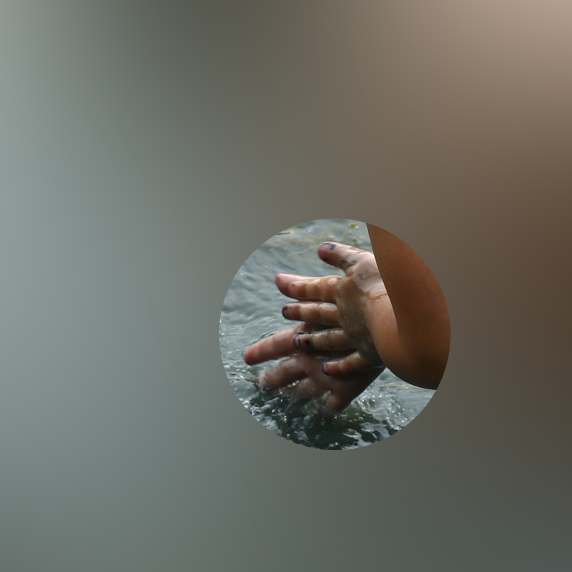 shadow hand