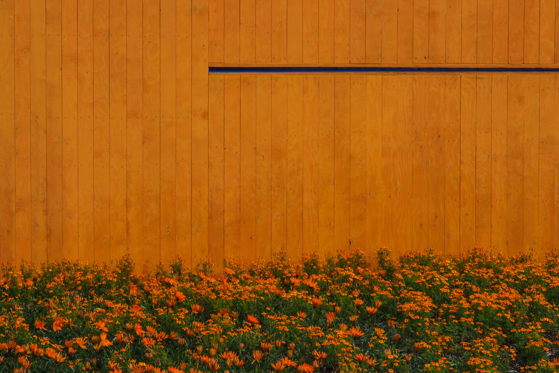 People's Choice 2014, Jardins de Metis