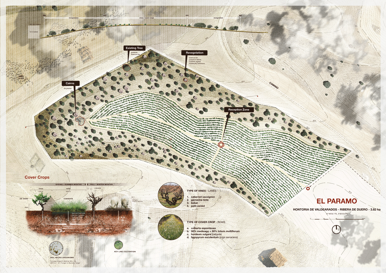 Paramo-Site-Plan-01WEB.gif