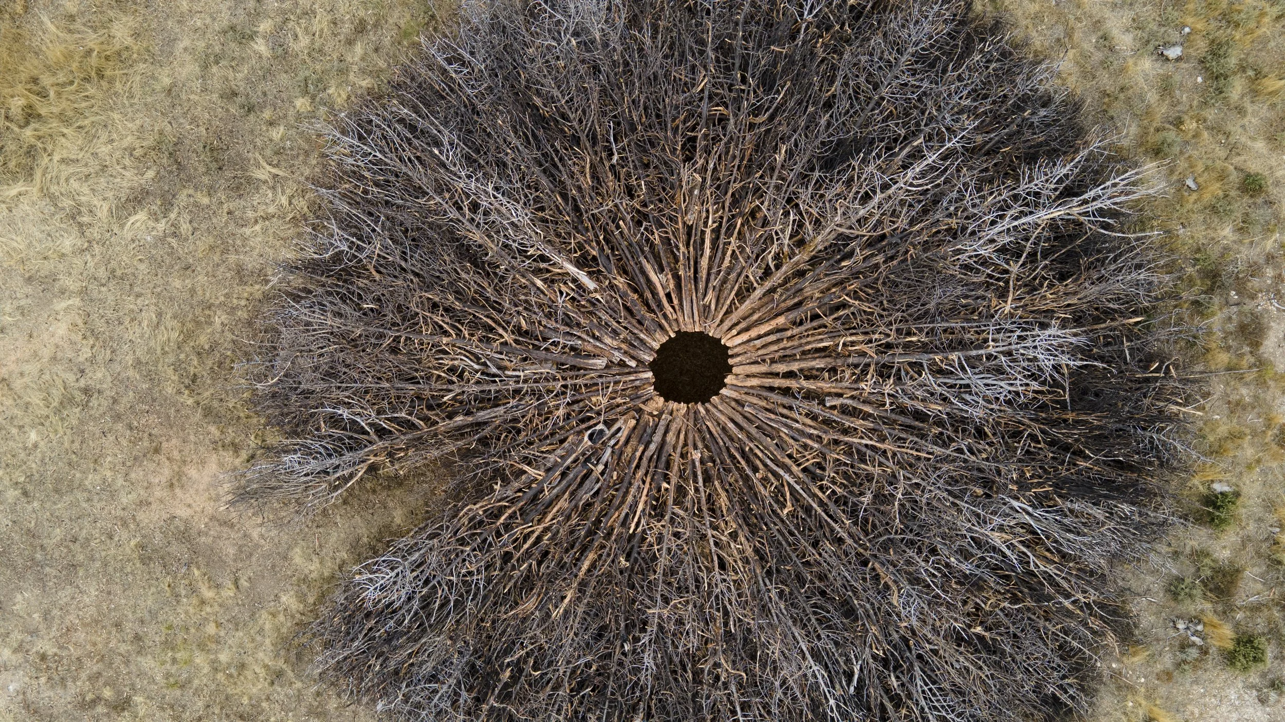 DJI_0502.JPG
