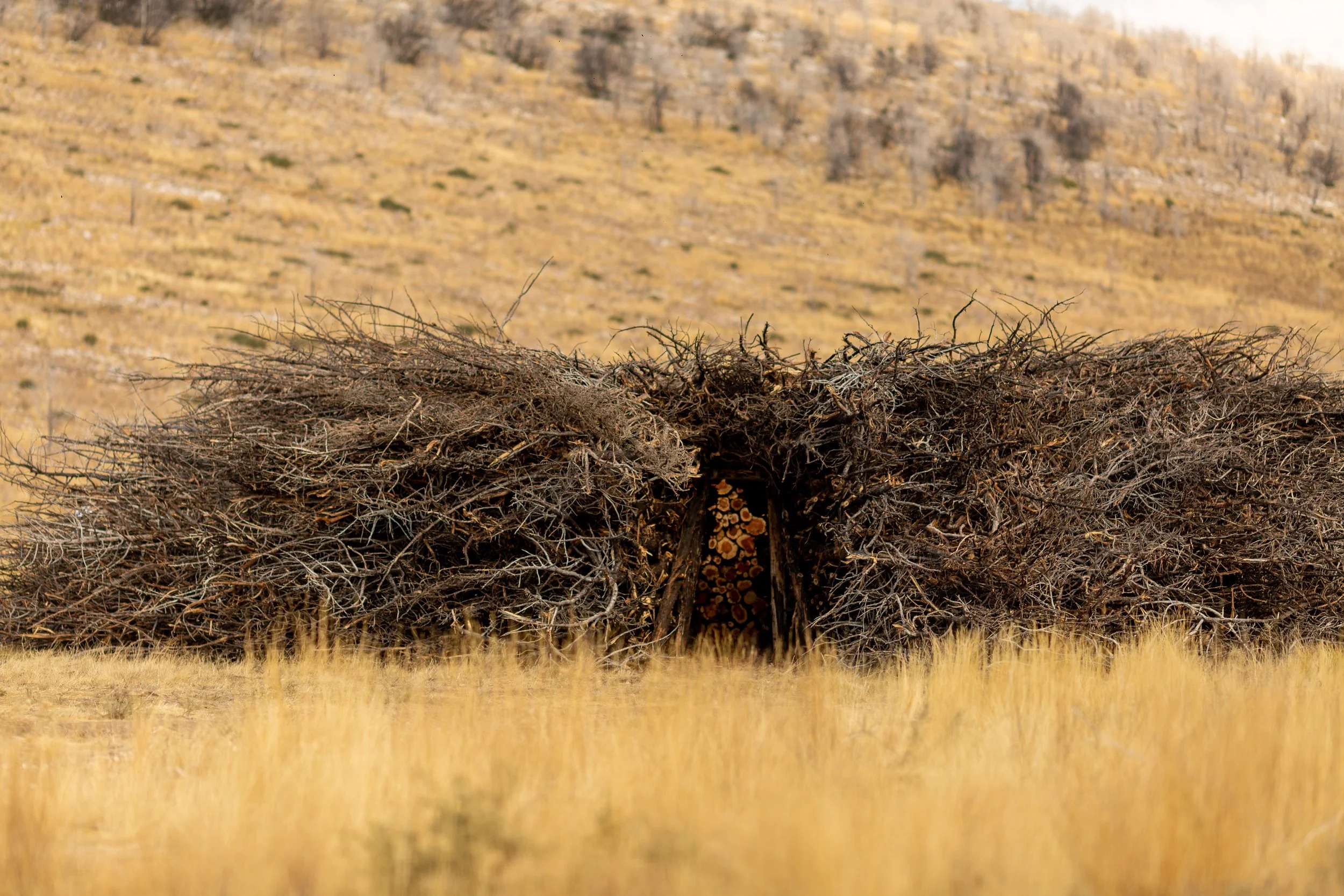 Socarrado _byNomad_026.jpg