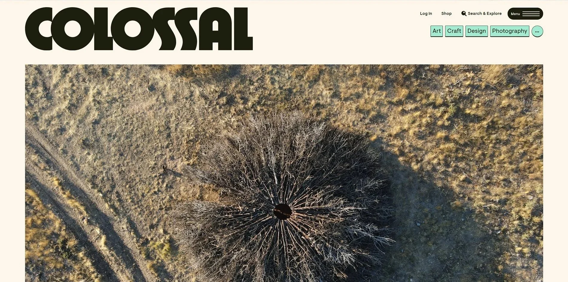   COLOSSAL.&nbsp;    Socarrado    