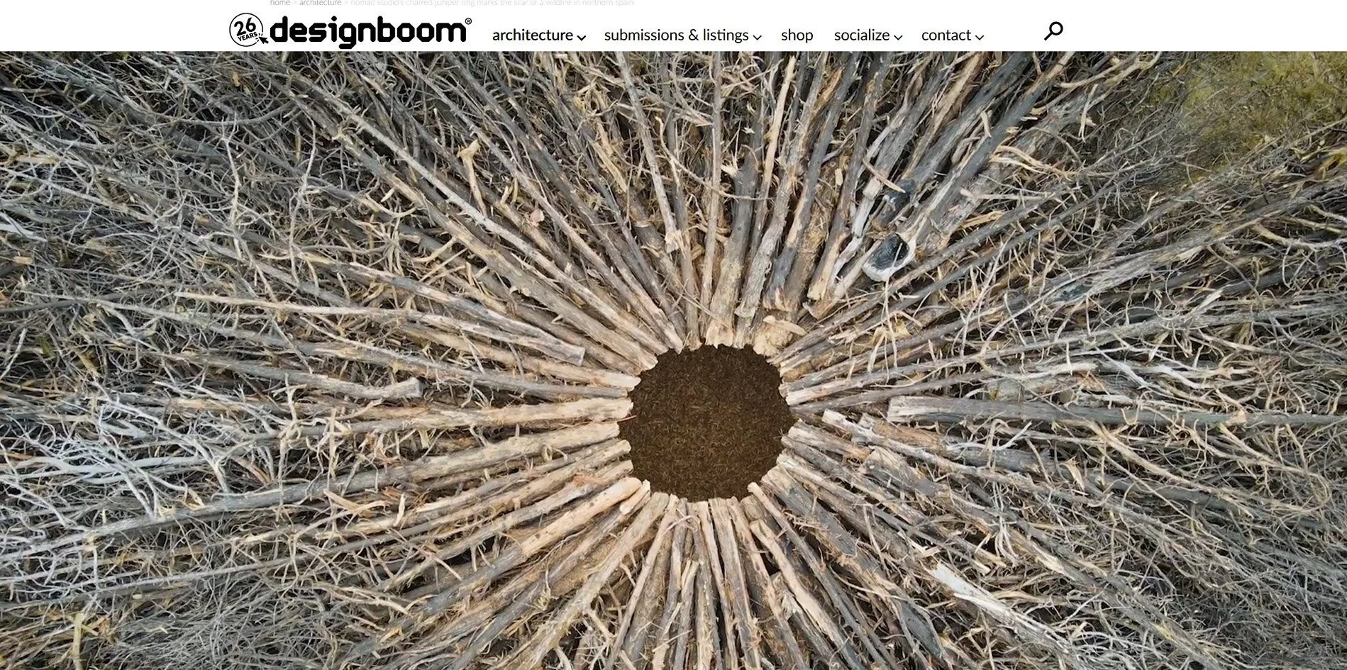    designboom.      Socarrado    