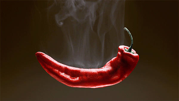 Chilli-3_brown_600px.gif