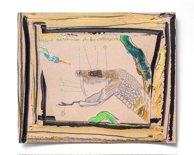 Poison Mechanism of the Rattlesnake, 16 3/8 x 14 1/8 framed, $975