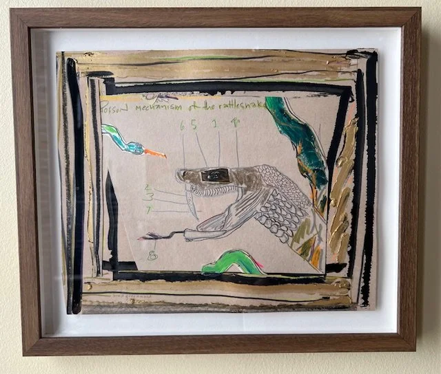    Poison Mechanism of the Rattlesnake,   2025, collage and mixed media on paper, 16  3⁄8  x 14  1⁄8  framed, $975  