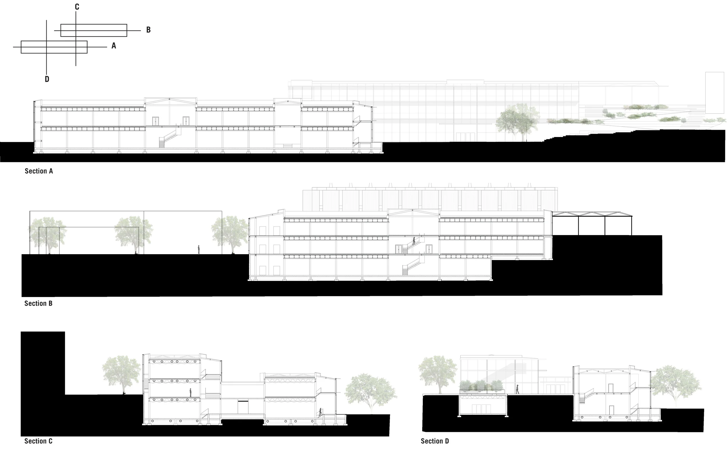   building and site sections  