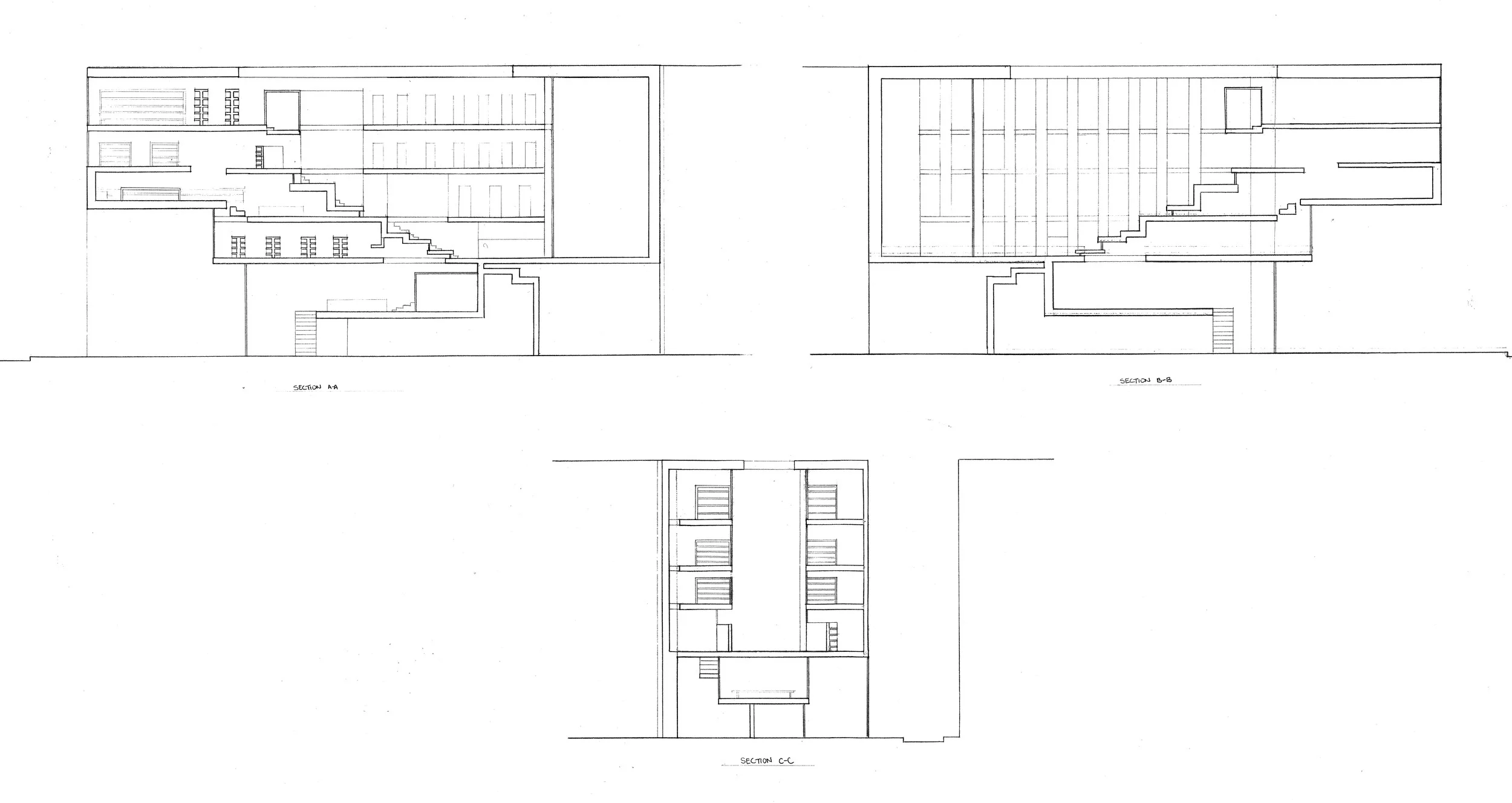   transverse and longitudinal &nbsp;    